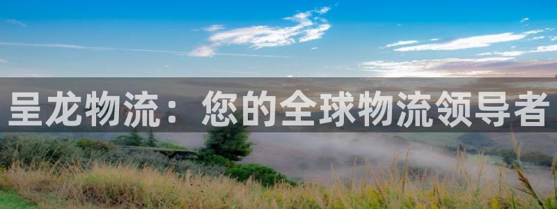 28圈登录用户名登录不上：呈龙物流：
