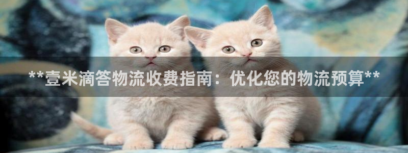 南宫28圈官网