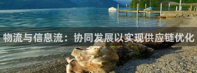 28圈网站平台：物流与信息流：协同发