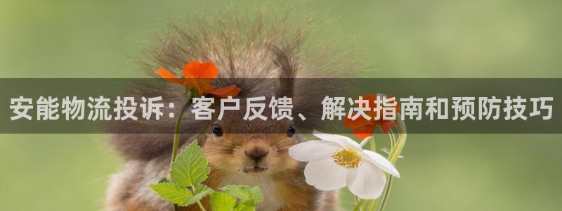 28圈能赢钱吗：安能物流投诉：客户反
