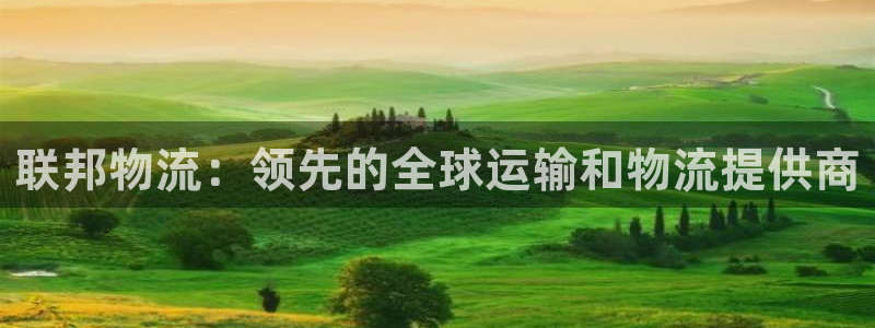 28圈.ccmpcios：联邦物流：