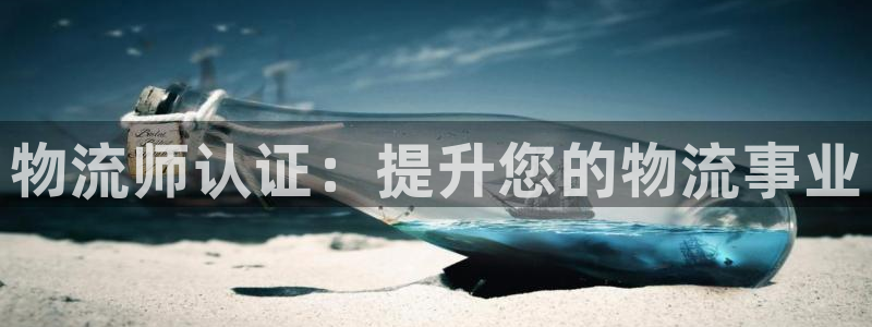 28圈PG电子游戏：物流师认证：提升
