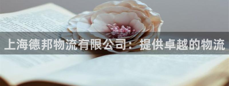 28圈官方版网站：上海德邦物流有限公