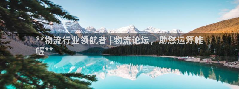 28圈预测加拿大师准：**物流行业领