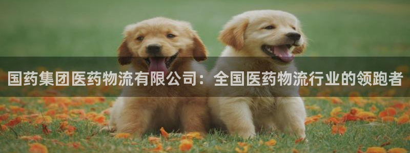 28圈链官网：国药集团医药物流有限公