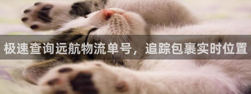 28圈APP是干什么的