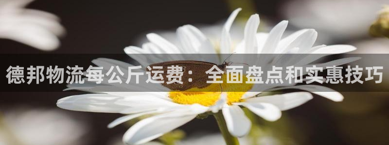 28圈客服电话：德邦物流每公斤运费：