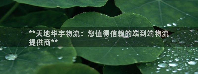 28圈加拿大最新版：**天地华宇物流