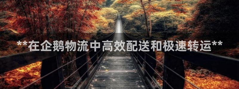 28圈官网平台下载