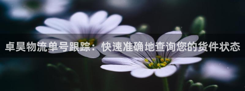 28圈加拿大预测