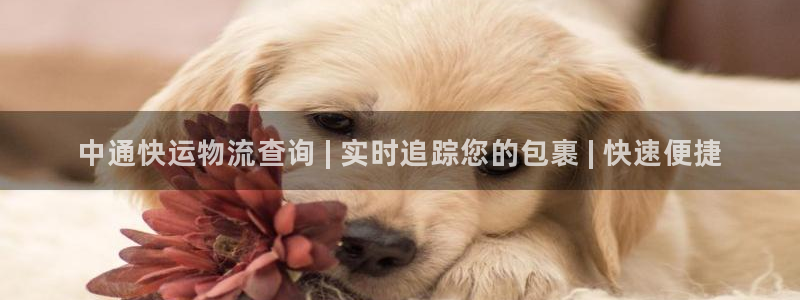 28圈注册网站链接怎么弄：中通快运物