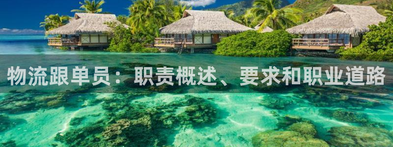 28圈加拿大下载：物流跟单员：职责概