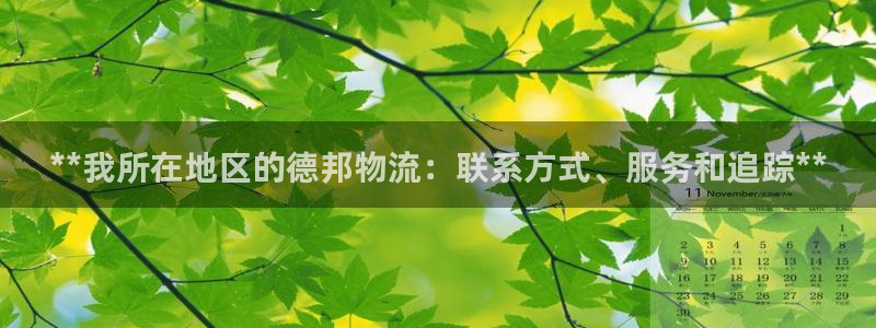 28圈游戏：**我所在地区的德邦物流