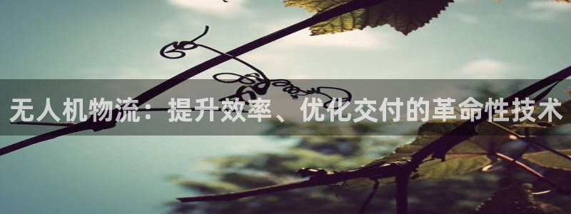 28圈提现不到账