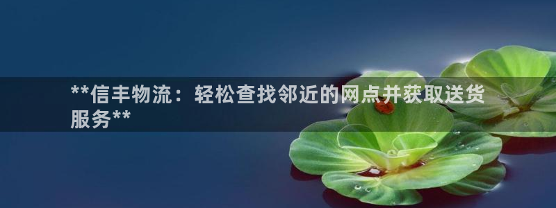 28圈加拿大预测