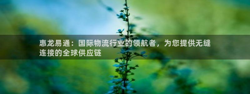 南宫28圈官网版：惠龙易通：国际物流