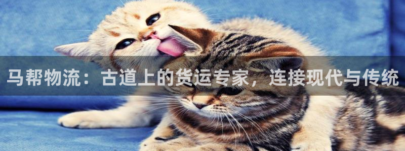 28圈可靠吗