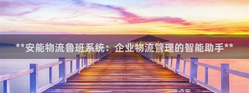 28圈注册问一问：**安能物流鲁班系