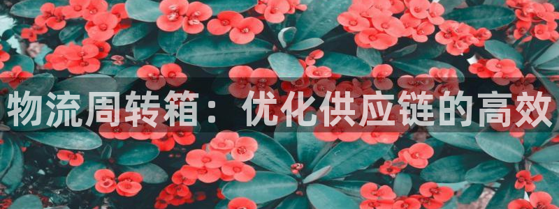 28圈.ccmpc是诈骗吗?：物流周
