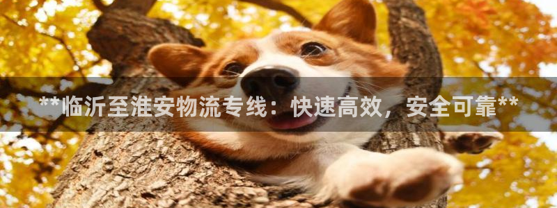 28圈加拿大是什么意思：**临沂至淮
