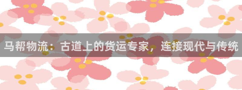 28圈注册网址百度知道：马帮物流：古