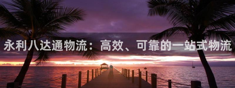 28圈app怎么注销：永利八达通物流