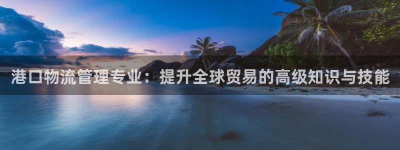 28圈是什么是赌博吗?：港口物流管理