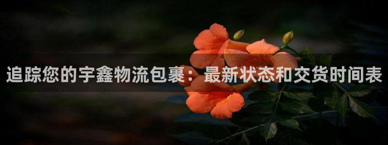 28圈.ccm