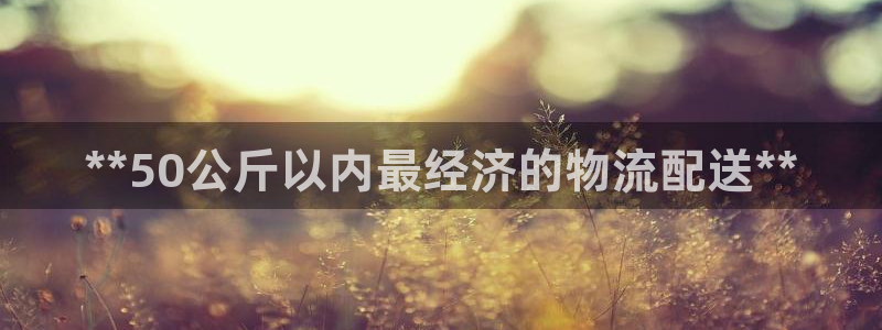 28圈分分28预测