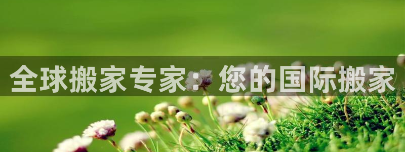 28圈软件是什么