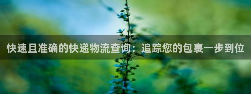 28圈充值不处理会怎么样：快速且准确
