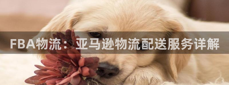 28圈吧：FBA物流：亚马逊物流配送