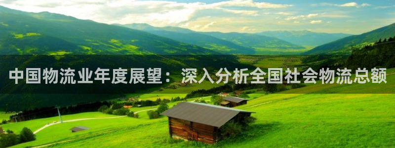 28圈大神预测：中国物流业年度展望：