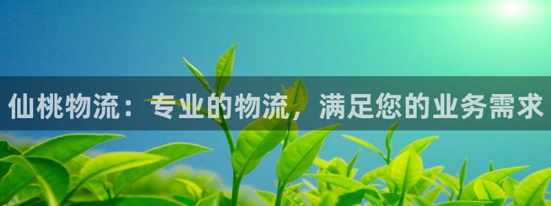 28圈玩法