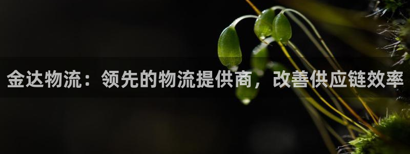加拿大28圈数字规则