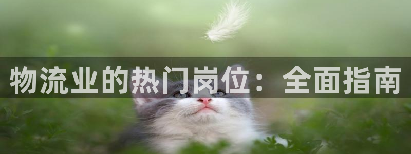 28圈充值不到账什么原因：物流业的热