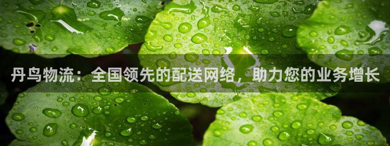 28圈哪个最赚钱：丹鸟物流：全国领先