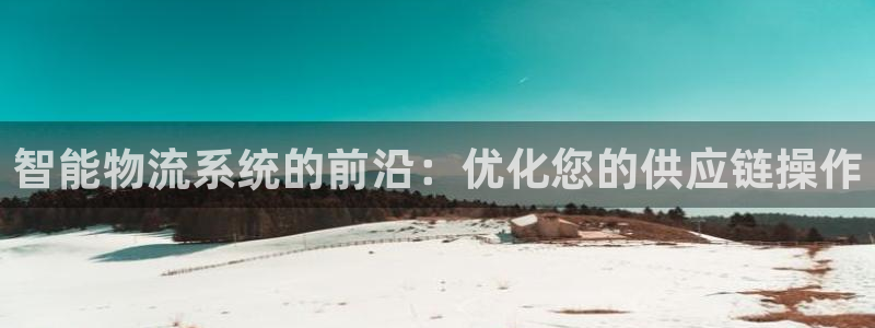 28圈加拿大技巧：智能物流系统的前沿