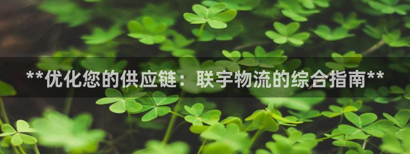 28圈加拿大官网：**优化您的供应链