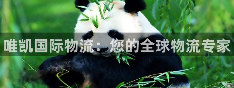 28圈ccm官网版：唯凯国际物流：您
