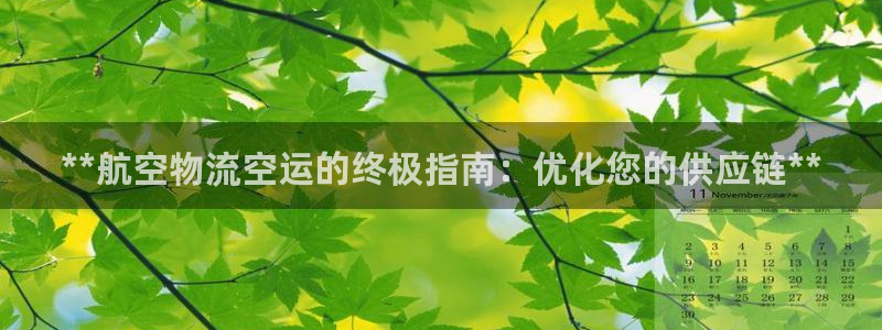 28圈大神预测