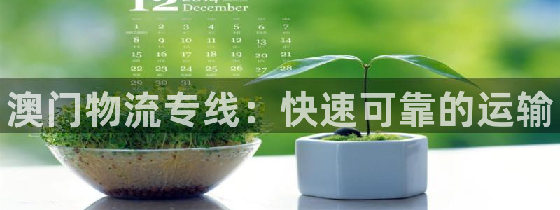 28圈为什么打不开：澳门物流专线：快