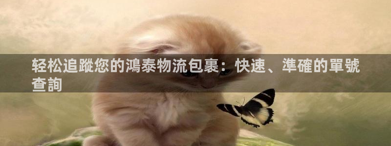 28圈和南宫28什么关系：轻松追蹤您