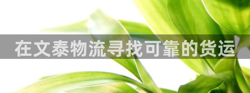 28圈开奖预测：在文泰物流寻找可靠的