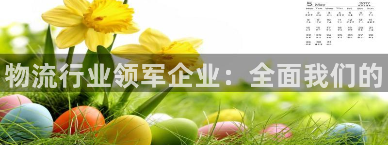 28圈分分压单双技巧：物流行业领军企