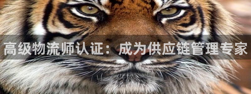 28圈加拿大开奖