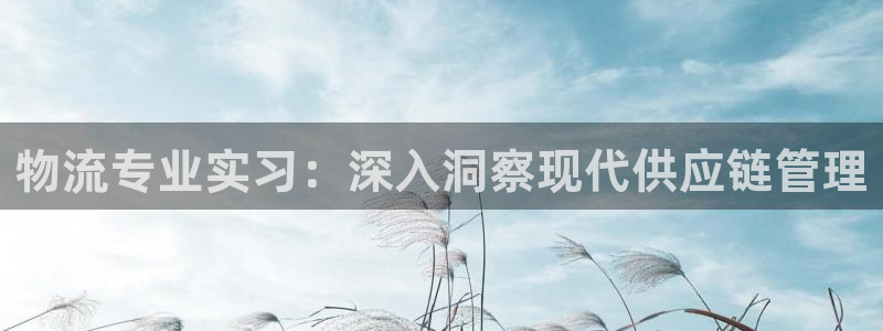 28圈pg如何退钱：物流专业实习：深