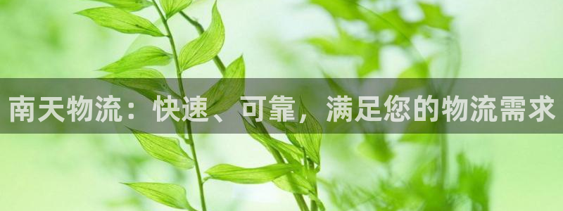 28圈注册步骤