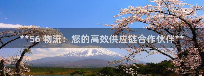 28圈口：**56 物流：您的高效供