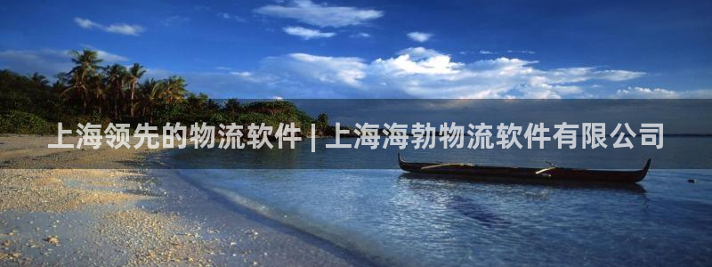 28圈网赌有什么风险：上海领先的物流软件 | 上海海勃物流软